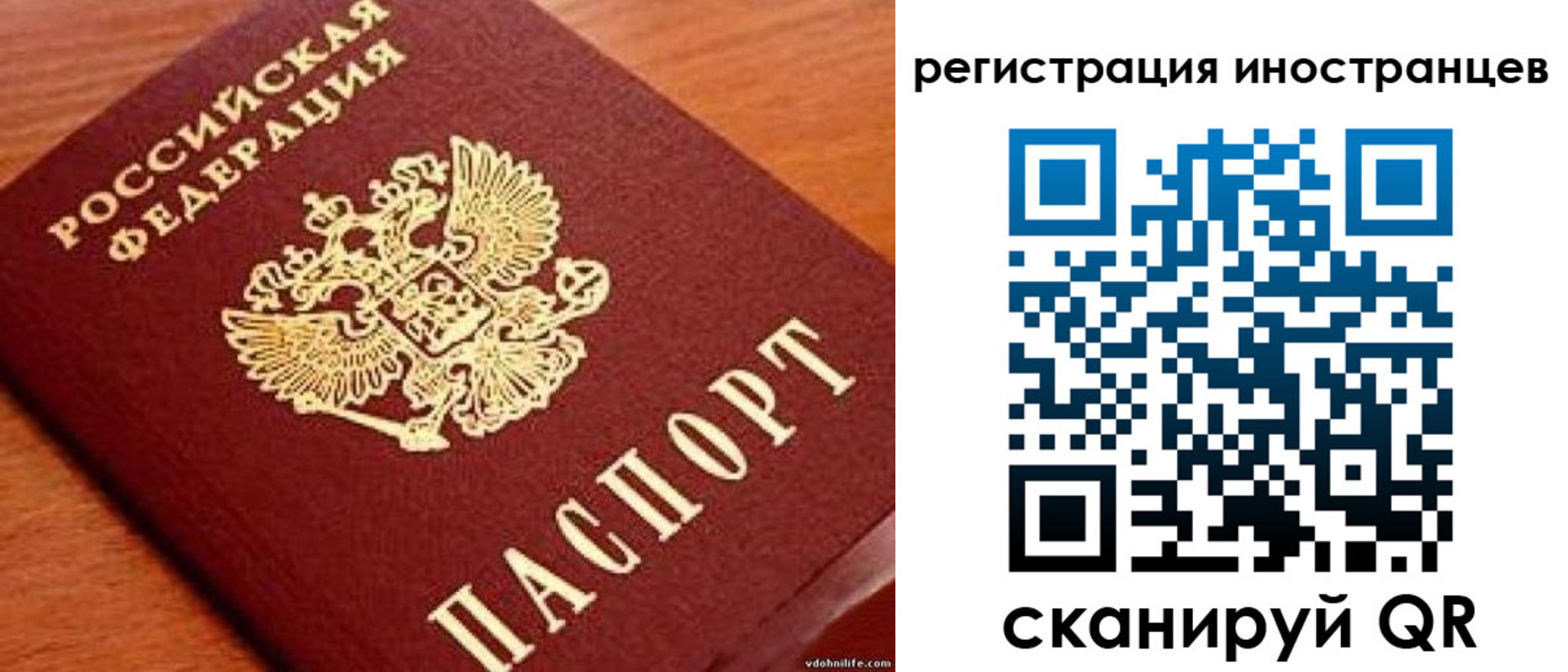 прописка законно в Санкт-Петербурге